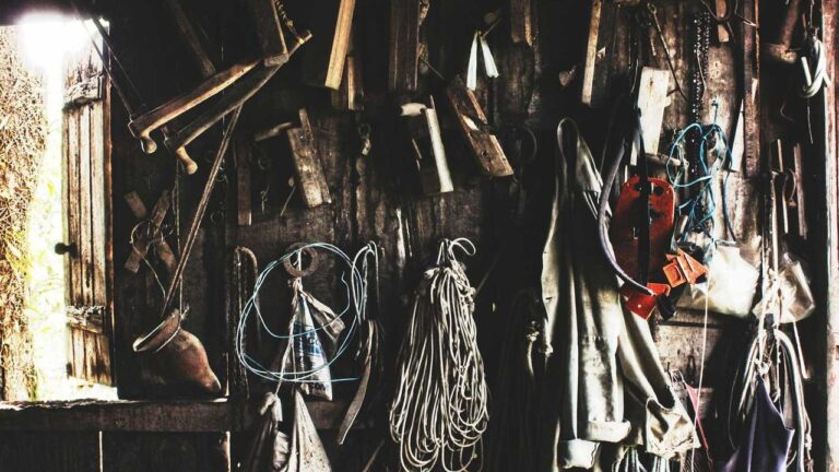 How To Proceed After Reaching The Welcome To 11Xplay Com Page?